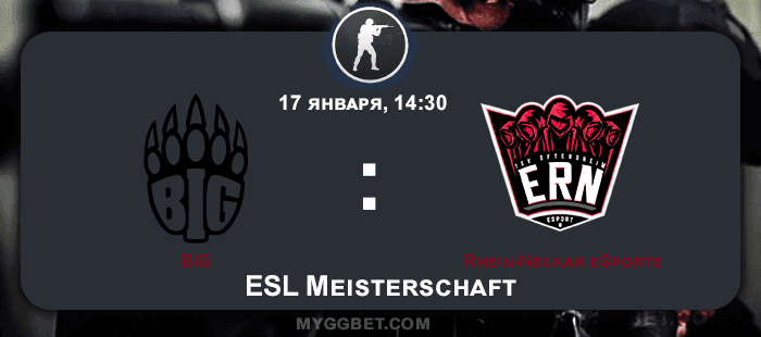 BIG — Rhein-Neckar: прогноз на матч 17 января
