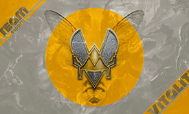 Team Vitality